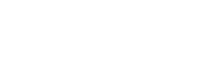 IGEPA Systems Formulare